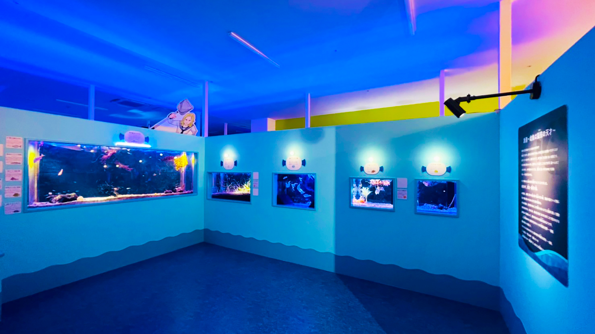 幼魚水族館館内写真